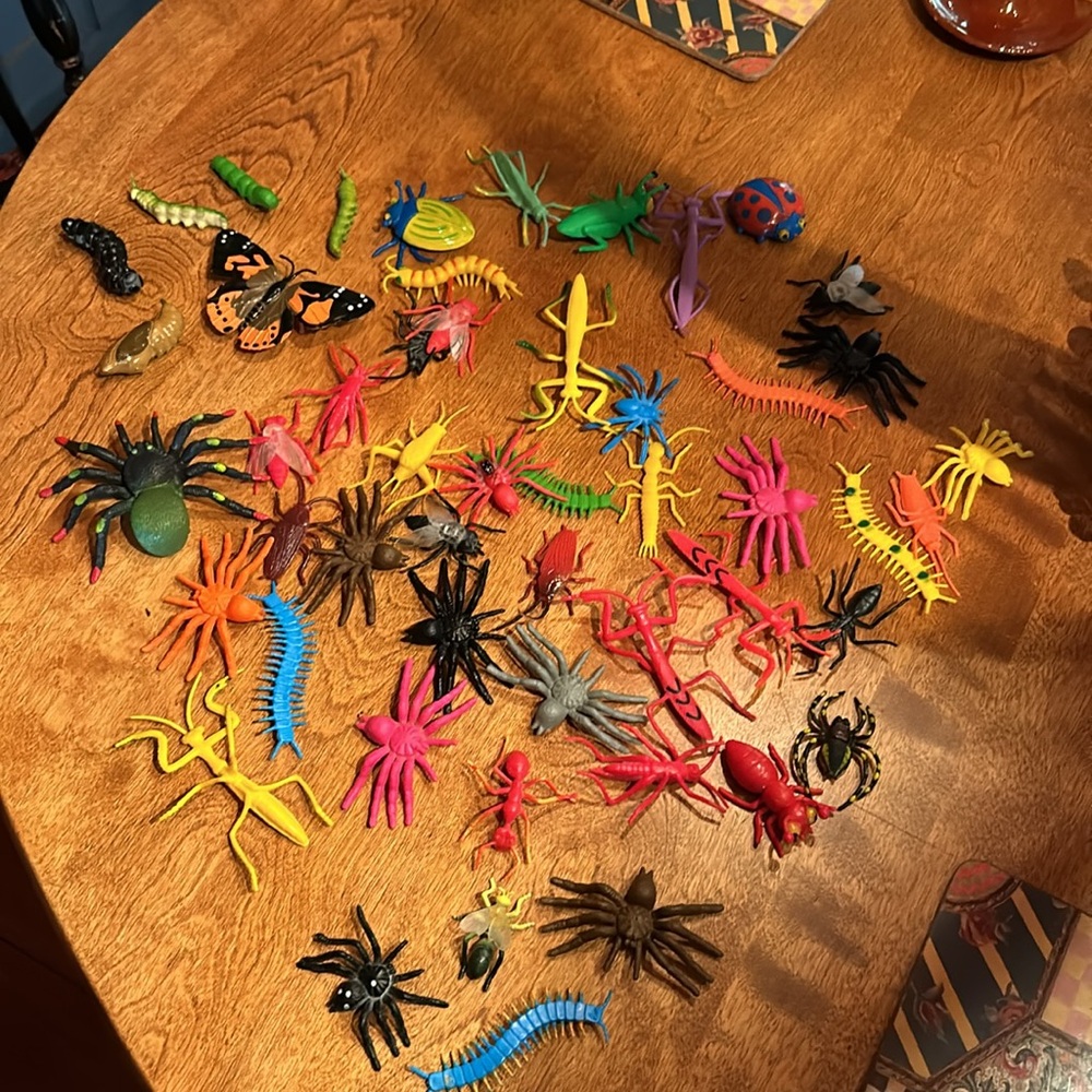 Insect Bugs Classroom Toy Lot with Metamorphosis Pieces